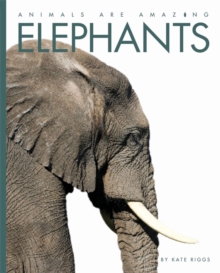 Elephants, Hardback Book Elephants, Hardback Book