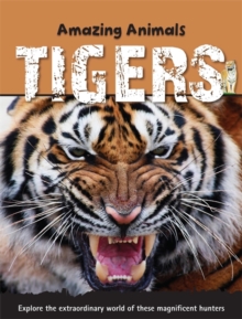 Tigers, Paperback Book Tigers, Paperback Book