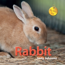 Rabbit, Hardback Book Rabbit, Hardback Book