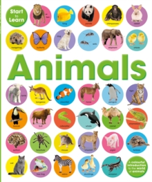 Animals, Hardback Book Animals, Hardback Book