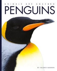 Penguins, Paperback Book Penguins, Paperback Book