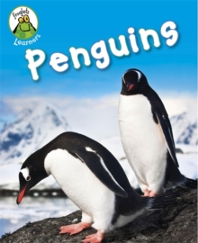 Penguins, Hardback Book Penguins, Hardback Book