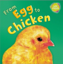 Lifecycles: From Egg To Chicken, Paperback Book Lifecycles: From Egg To Chicken, Paperback Book