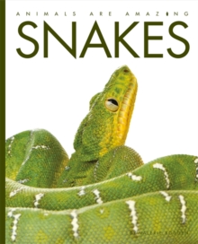 Snakes, Paperback Book Snakes, Paperback Book