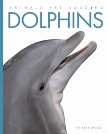 Animals Are Amazing: Dolphins, Paperback Book Animals Are Amazing: Dolphins, Paperback Book