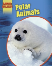 Polar Animals, Paperback Book Polar Animals, Paperback Book