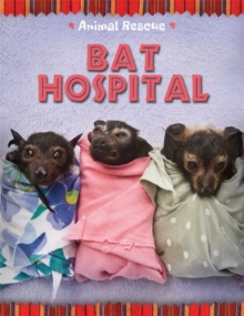 Animal Rescue: Bat Hospital, Hardback Book Animal Rescue: Bat Hospital, Hardback Book