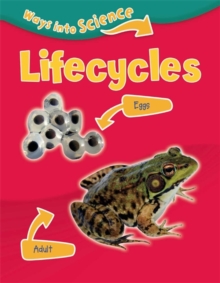 Lifecycles, Paperback Book Lifecycles, Paperback Book