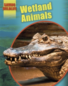 Saving Wildlife: Wetland Animals, Paperback / softback Book Saving Wildlife: Wetland Animals, Paperback / softback Book