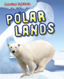Amazing Habitats: Polar Lands, Paperback / softback Book Amazing Habitats: Polar Lands, Paperback / softback Book