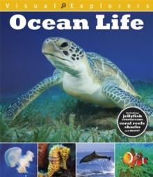 Ocean Life, Hardback Book Ocean Life, Hardback Book