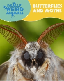 Really Weird Animals: Butterflies and Moths, Paperback Book Really Weird Animals: Butterflies and Moths, Paperback Book