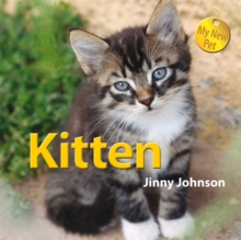 Kitten, Paperback Book Kitten, Paperback Book