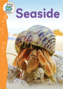 Tadpoles Learners: Seaside, Hardback Book Tadpoles Learners: Seaside, Hardback Book