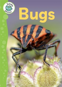 Tadpoles Learners: Bugs, Paperback / softback Book Tadpoles Learners: Bugs, Paperback / softback Book