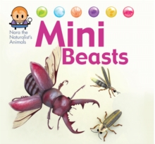 Nora the Naturalist's Animals: Minibeasts, Hardback Book Nora the Naturalist's Animals: Minibeasts, Hardback Book