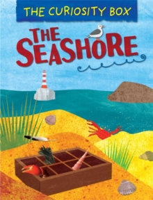 The Curiosity Box: The Seashore, Hardback Book The Curiosity Box: The Seashore, Hardback Book