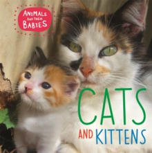 Animals and their Babies: Cats & kittens, Paperback / softback Book Animals and their Babies: Cats & kittens, Paperback / softback Book
