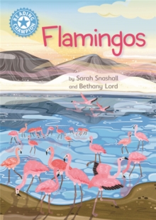 Reading Champion: Flamingos : Independent Reading Non-Fiction Blue 4