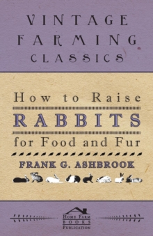 How To Raise Rabbits For Food And Fur