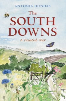 The South Downs : A Painted Year, Hardback Book The South Downs : A Painted Year, Hardback Book