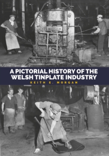 Pictorial History of the Welsh Tinplate Industry, Paperback Book Pictorial History of the Welsh Tinplate Industry, Paperback Book