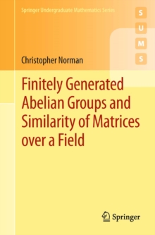 Finitely Generated Abelian Groups and Similarity of Matrices over a Field