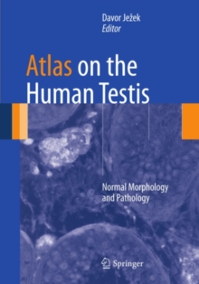 Atlas on the Human Testis : Normal Morphology and Pathology