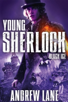 Black Ice, Paperback / softback Book Black Ice, Paperback / softback Book