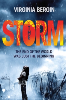 The Storm, Paperback / softback Book The Storm, Paperback / softback Book