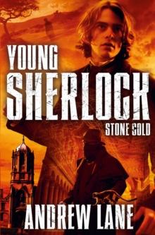 Stone Cold, Hardback Book Stone Cold, Hardback Book