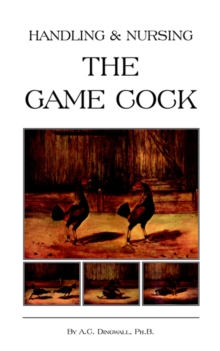 Handling and Nursing the Game Cock (History of Cockfighting Series)