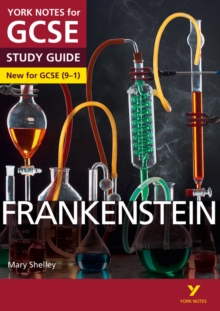 Frankenstein: York Notes For GCSE Everything You Need To Catch up, Study And Prepare For And 2023 And 2024 Exams And Assessments