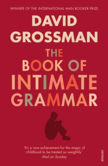 The Book Of Intimate Grammar