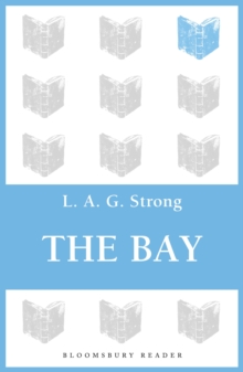 The Bay