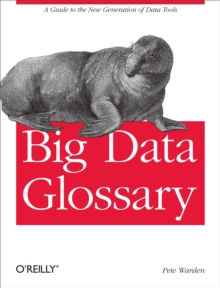 Big Data Glossary : A Guide to the New Generation of Data Tools