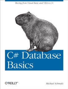 C# Database Basics : Moving from Visual Basic and VBA to C#