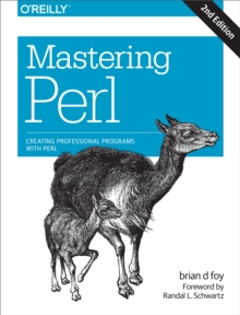 Mastering Perl : Creating Professional Programs with Perl