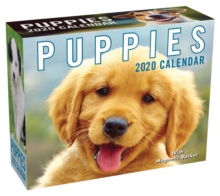 Puppies 2020 Mini Day-to-Day Calendar, Calendar Book Puppies 2020 Mini Day-to-Day Calendar, Calendar Book