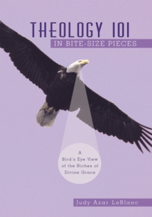 Theology 101 in Bite-Size Pieces : A Bird's Eye View of the Riches of Divine Grace