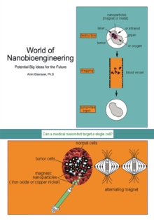 World of Nanobioengineering : Potential Big Ideas for the Future