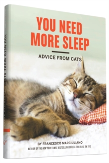 You Need More Sleep : Advice From Cats