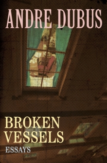 Broken Vessels : Essays