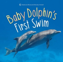 Baby Dolphin's First Swim, Hardback Book Baby Dolphin's First Swim, Hardback Book