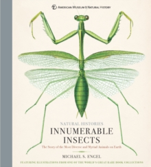 Innumerable Insects : The Story of the Most Diverse and Myriad Animals on Earth