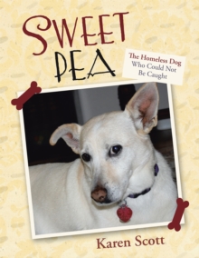 Sweet Pea : The Homeless Dog Who Could Not Be Caught