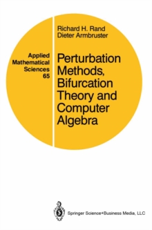 Perturbation Methods, Bifurcation Theory and Computer Algebra