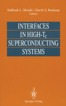 Interfaces in High-Tc Superconducting Systems