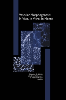 Vascular Morphogenesis: In Vivo, In Vitro, In Mente