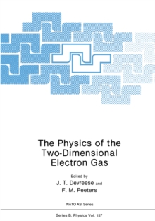 The Physics of the Two-Dimensional Electron Gas